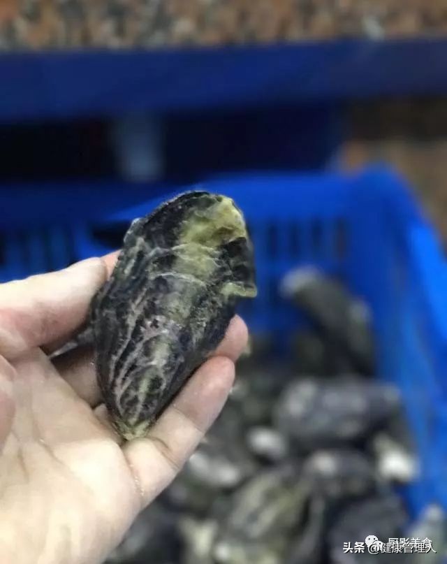 海鲜贝类品种大全及名字,22种海鲜贝类做法大全