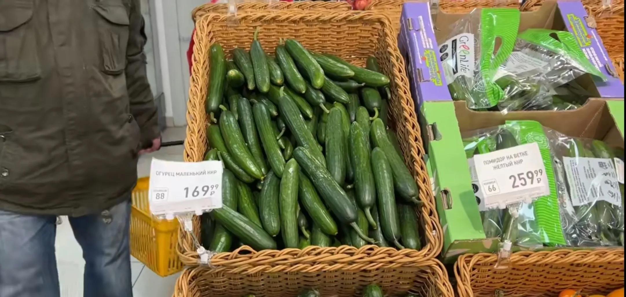 入境俄罗斯需要签证吗,入境俄罗斯需要检查回程机票吗