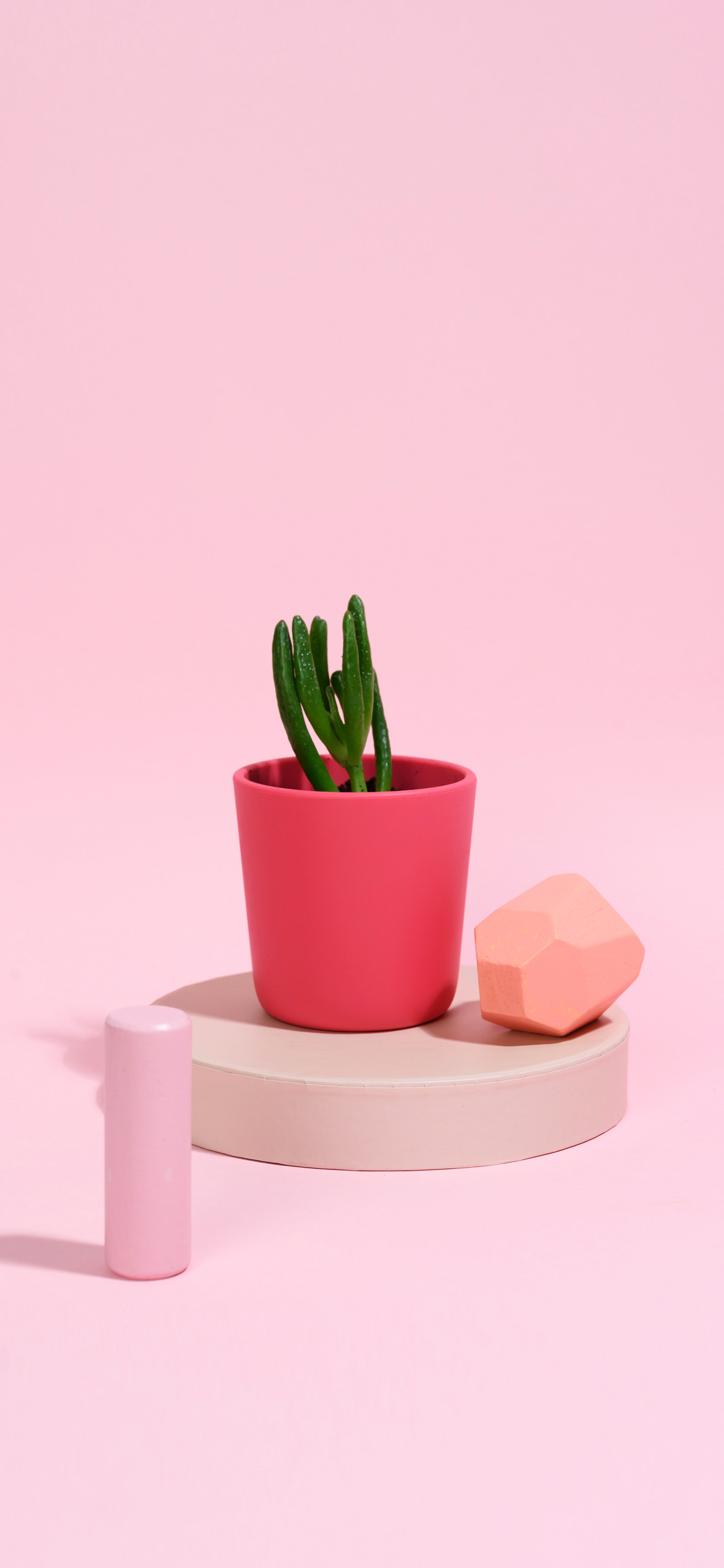 可爱的壁纸女生专用粉色系,超级可爱少女心壁纸粉色系动漫