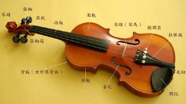 小提琴的构造和发声方法,小提琴的音色分析