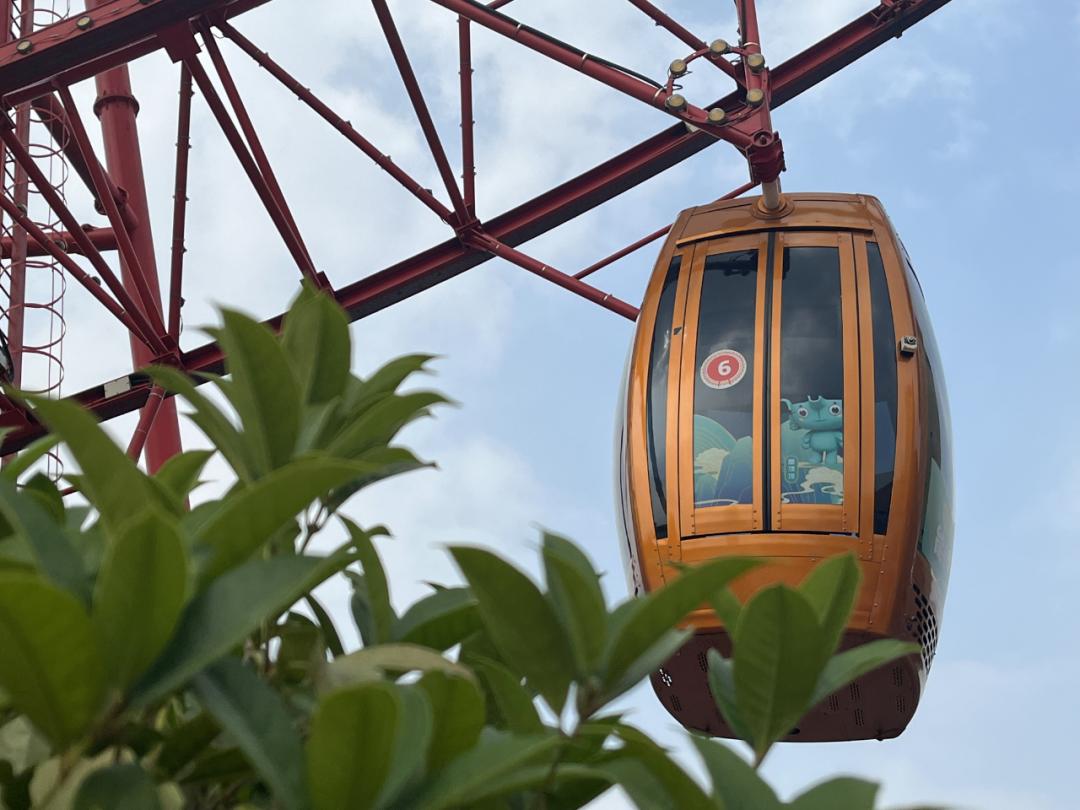 合肥景点打卡博物馆,合肥博物馆打卡视频