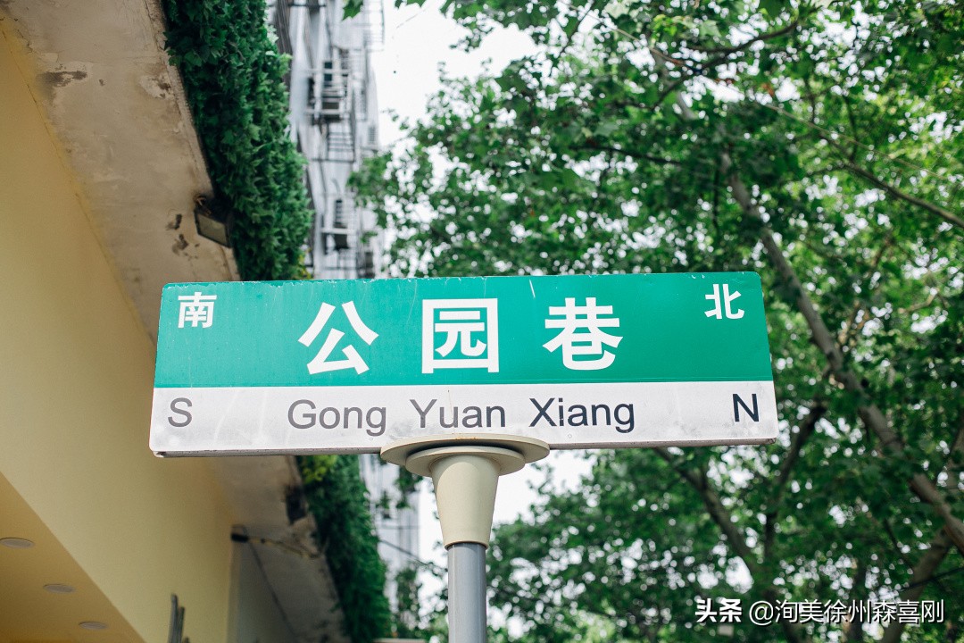 我在校园里的童年,我在小学的快乐时光