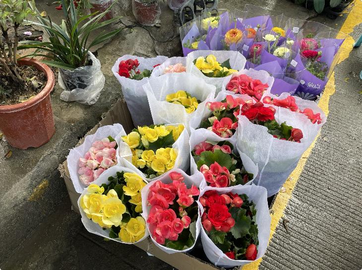 广州芳村花地古玩城,花地湾古玩城花市