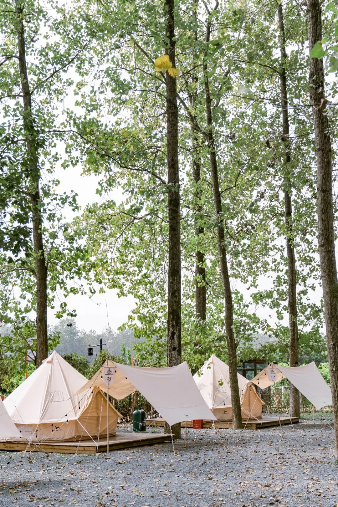 全羊宴烤乳猪、神秘矿坑、湿身派对…有趣不扎堆,假期支棱起来吧