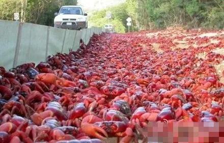 世界奇闻大搜罗,带你看遍全球各种奇闻异事