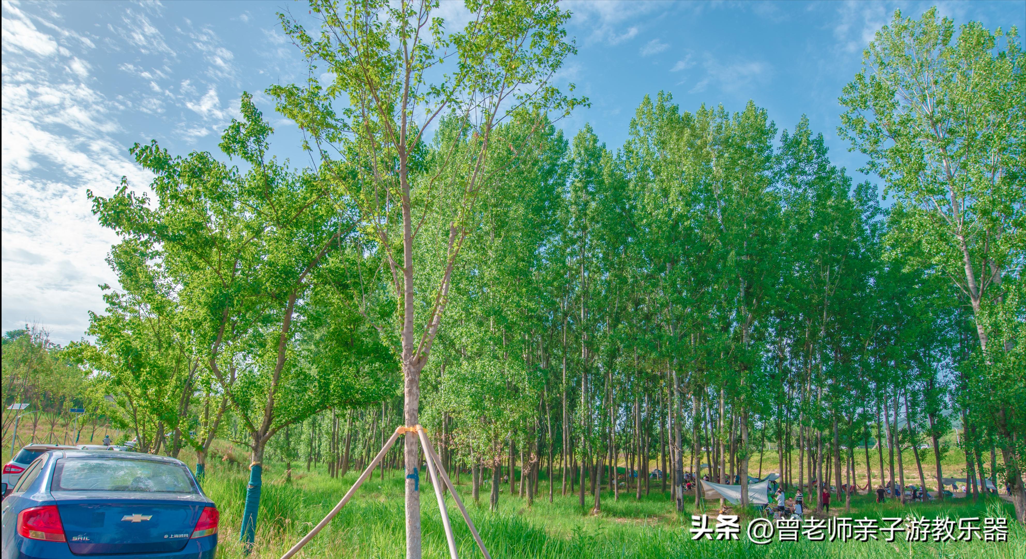 西安秋天野营免费地点,西安秋天露营地免费地点