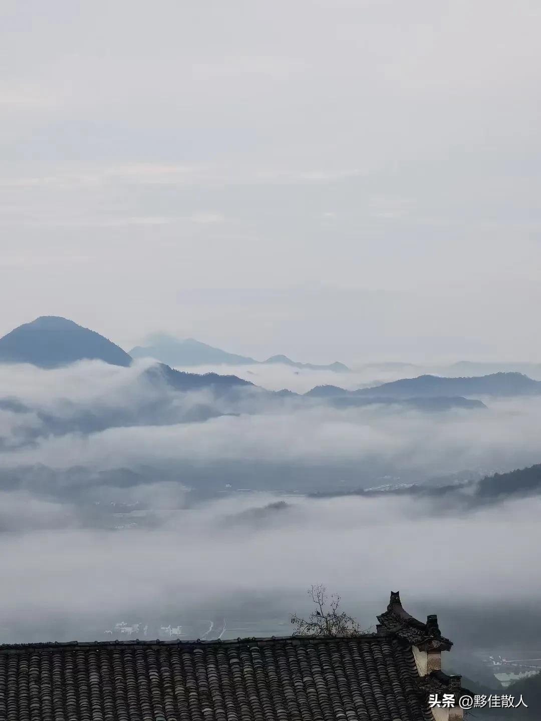 回乡偶书原文,回乡遇见儿时玩伴