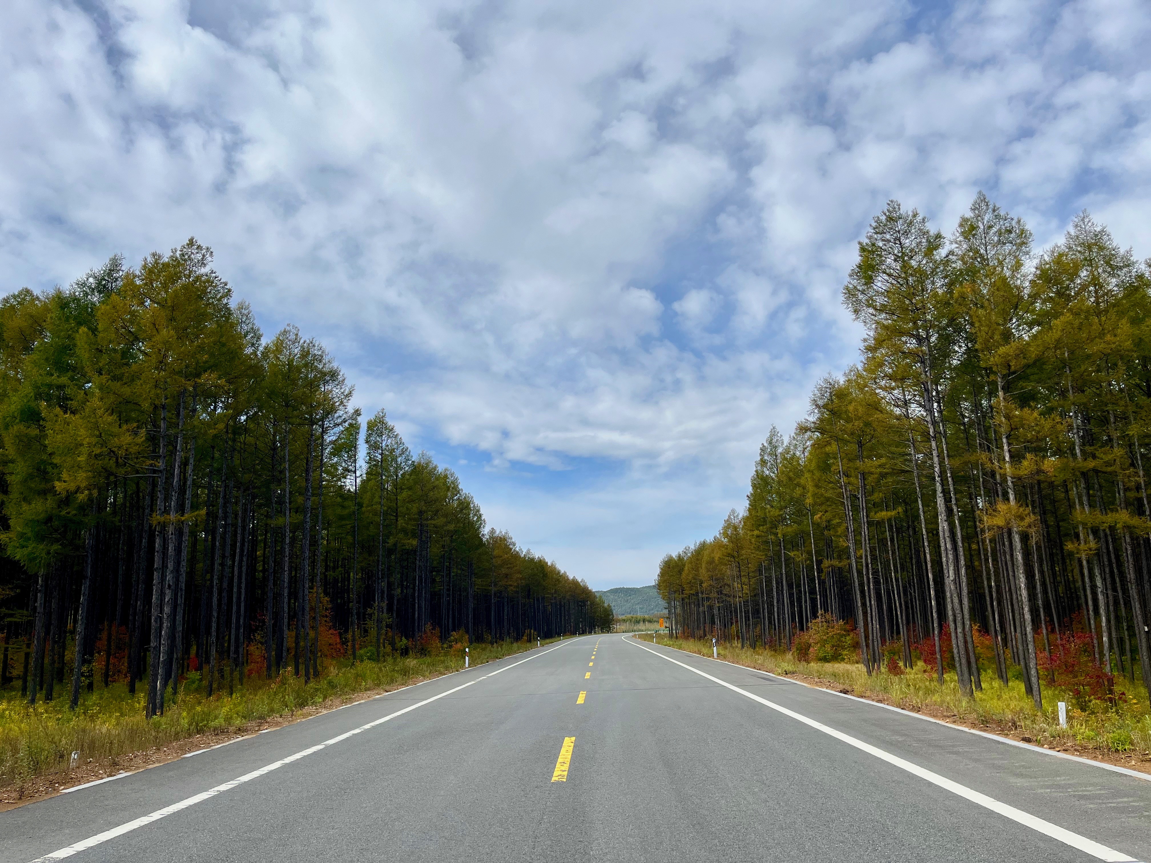 夫妻自驾11000公里,夫妻两人自驾游最新视频