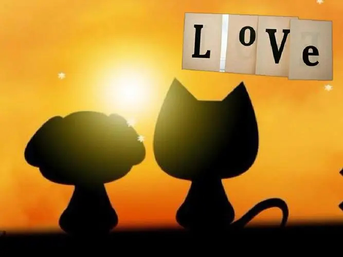 亲戚要我在银行帮他贷20万,朋友用钱让我去银行贷50万