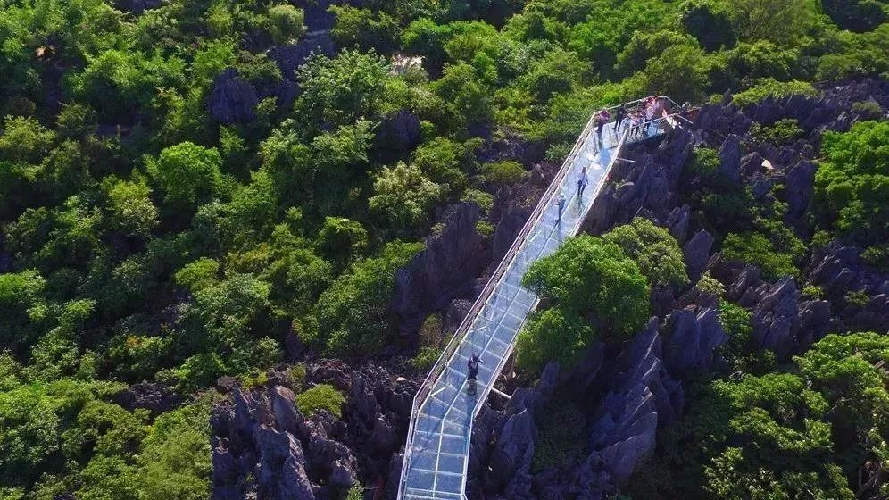 广西旅游攻略天洞,广西旅游攻略大明山