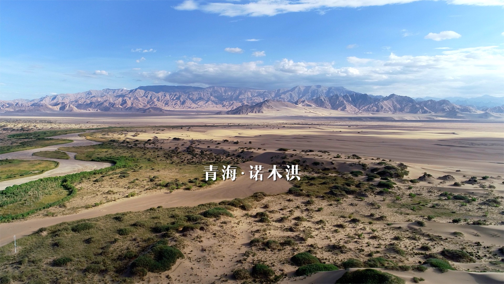 青海诺木洪枸杞今年什么时候摘,青海诺木洪枸杞采摘