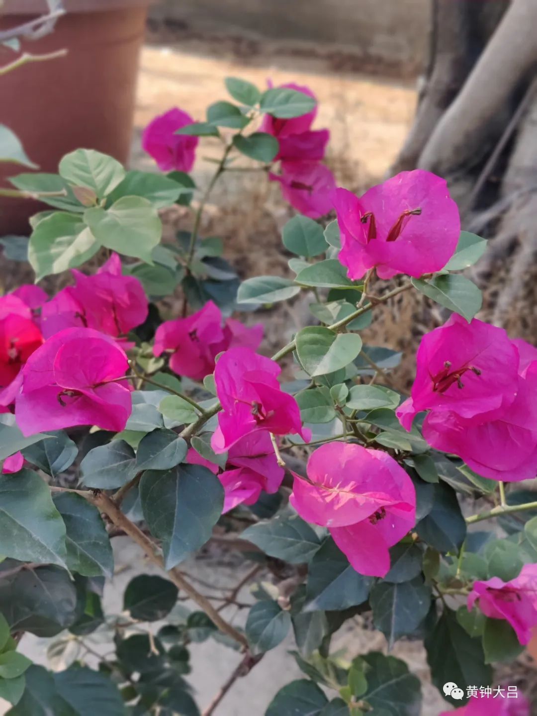 买学区房和陪伴孩子哪个重要,重视子女教育