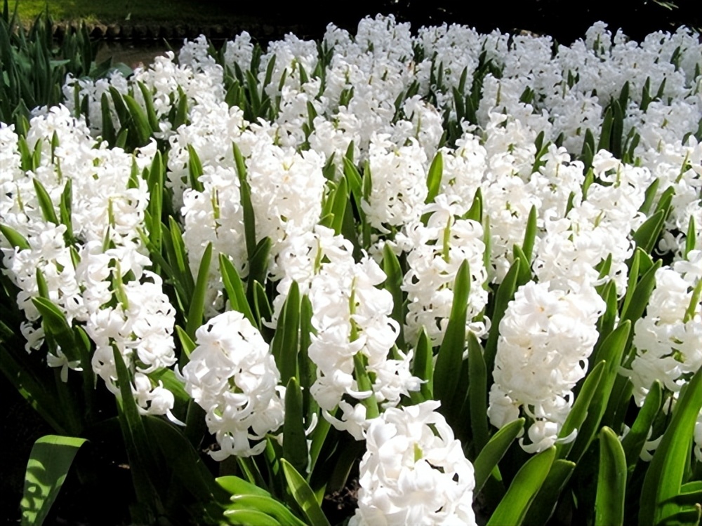 周末给领导的祝福短信,周末祝福短信最温馨的话语