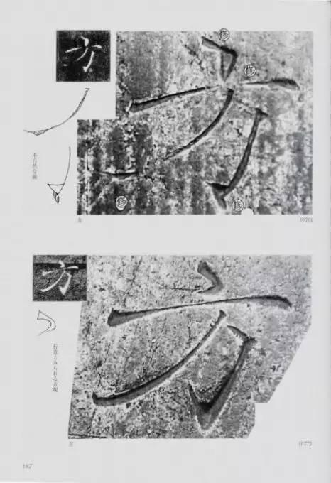 宸ョ瑪鐢绘潹鏅箟鐢诲唽,鏉滈箖鏉ㄦ櫘涔夊畬鏁寸増