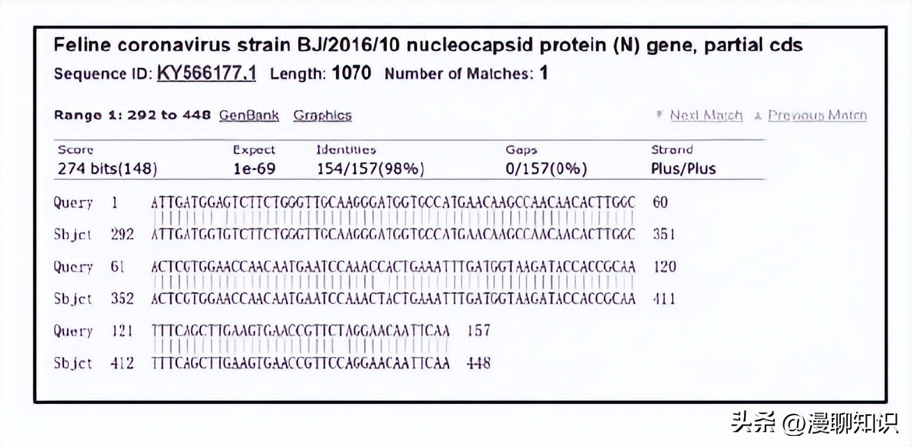 猫会感染人的疾病的图片,猫病毒检测cpr可以测出什么病毒