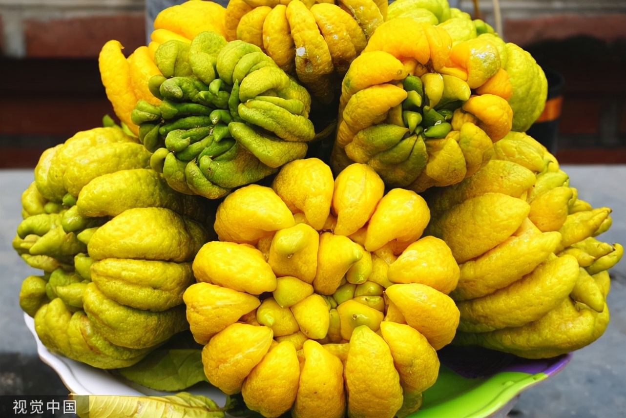 亦花亦果、香中君子——佛手