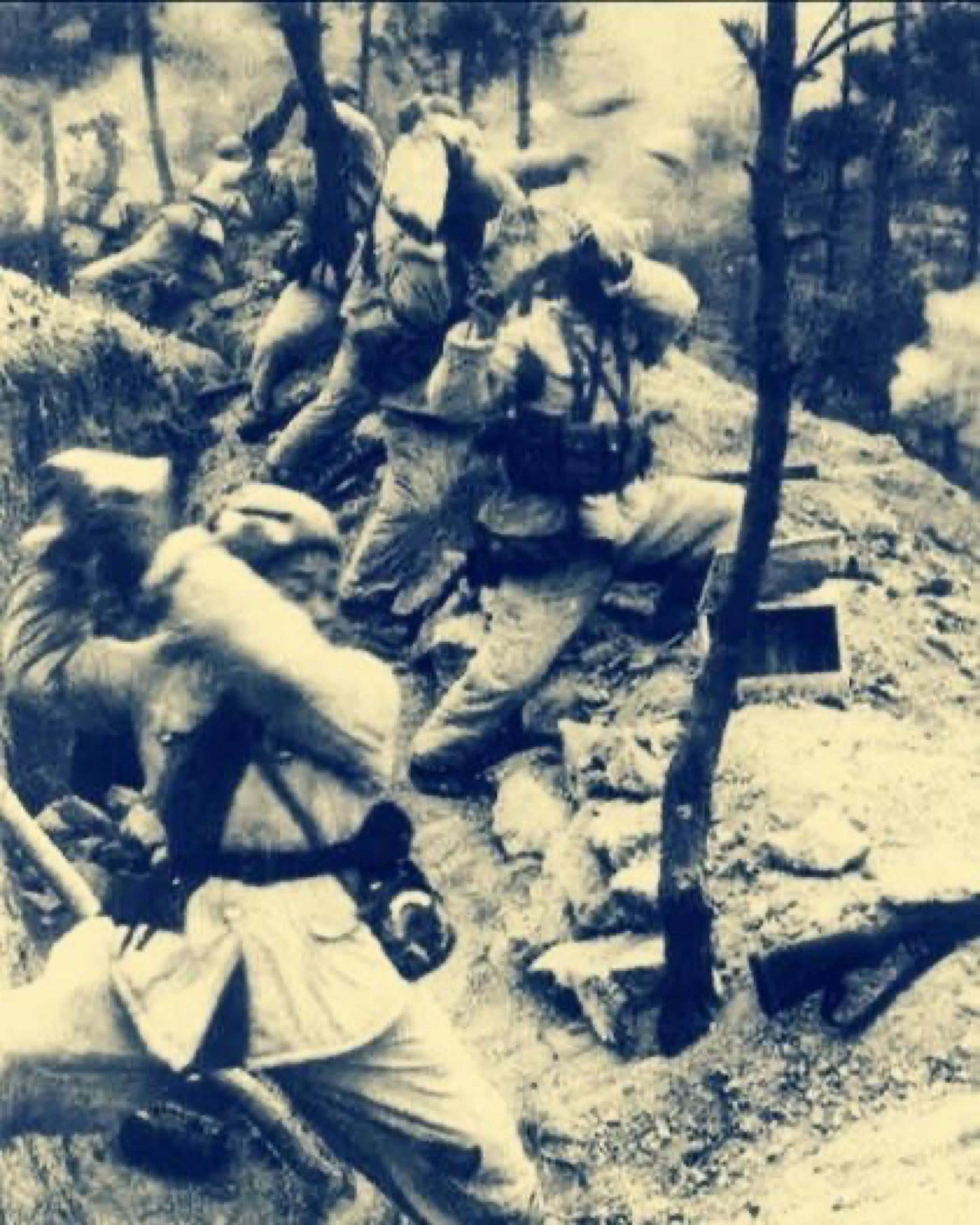 50军和38军哪个是万岁军,第四次战役中的50军