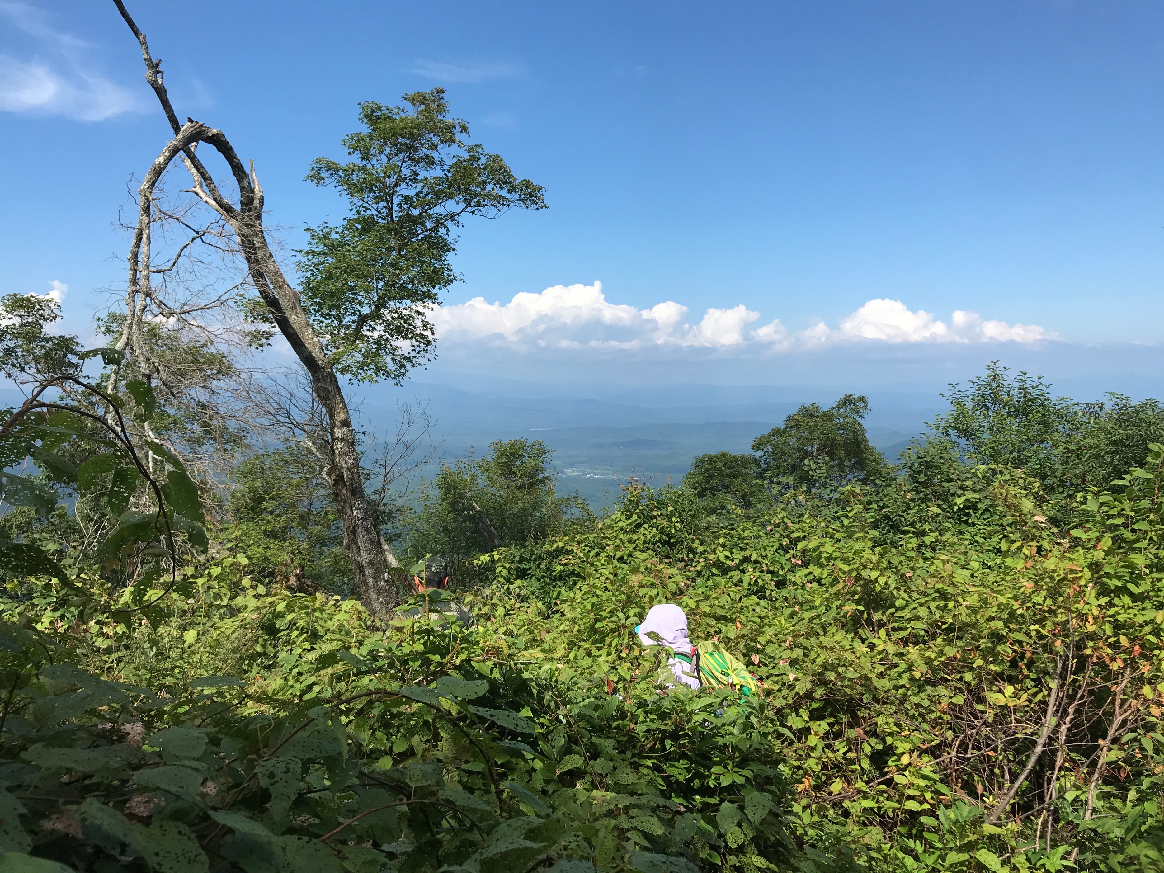 探秘摩艾石像,探秘摩迈尔洞穴