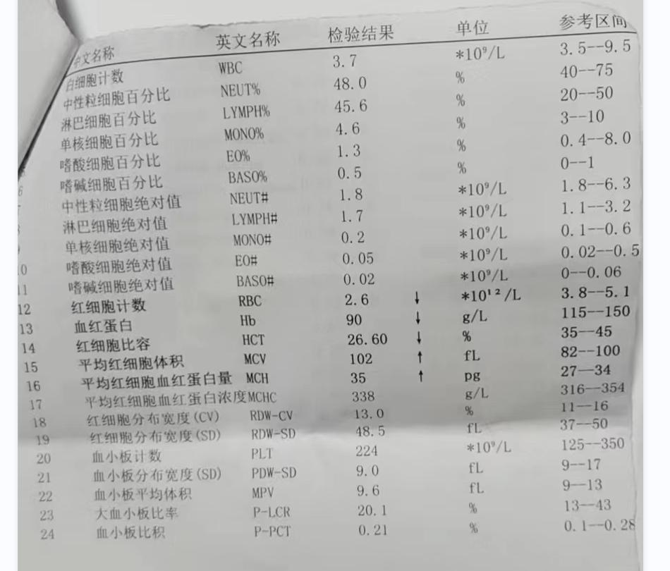骨髓穿刺查中度贫血要多少钱,体检报告里说贫血要怎么解决