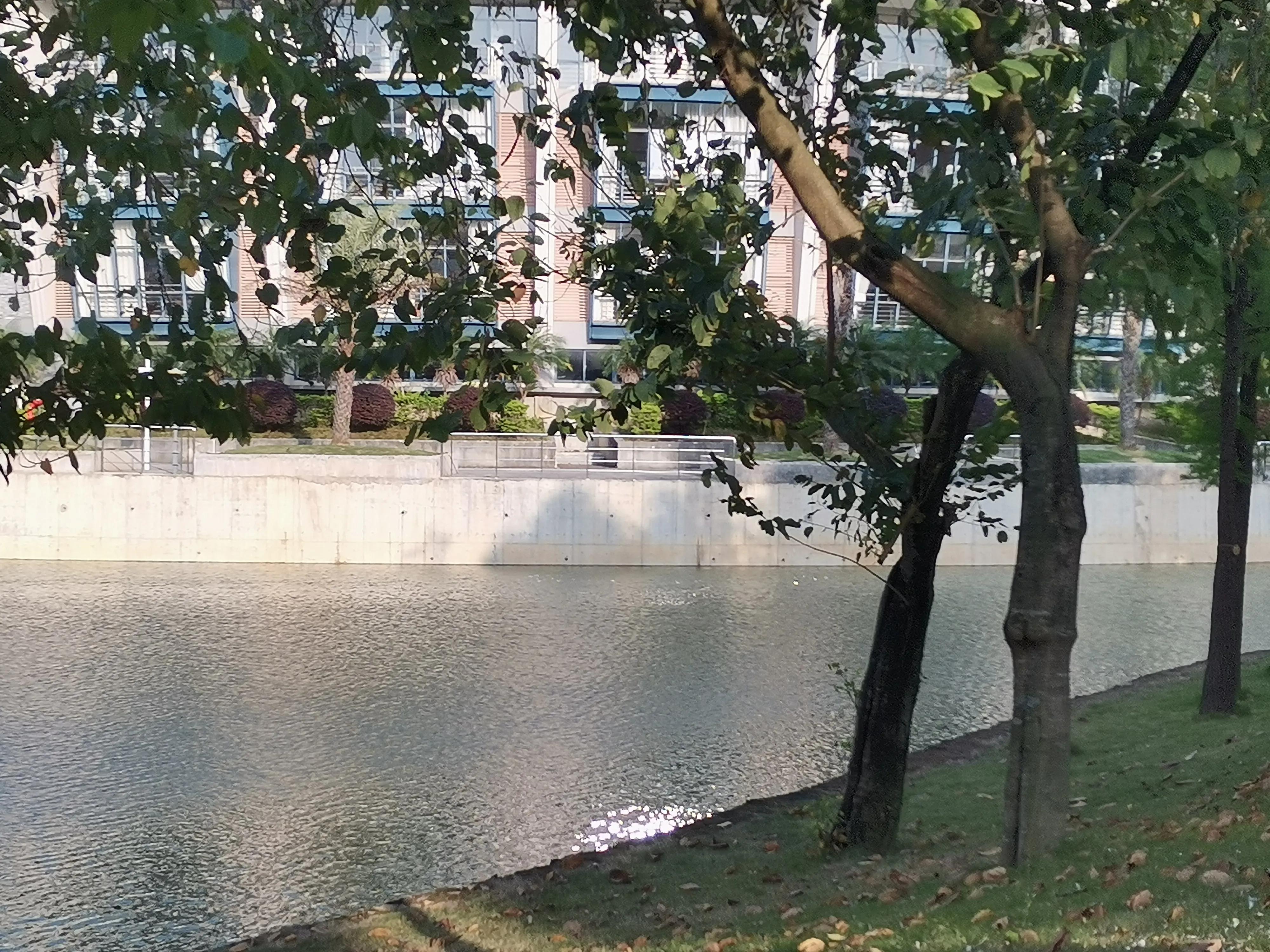 清远南华学校理发,南华工商职业学院清远校区