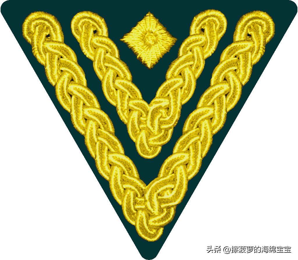 二战德国国防军医疗兵军衔标志