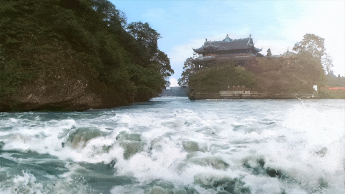 微生物菌群最新研究进展,一号菌群科研新成果