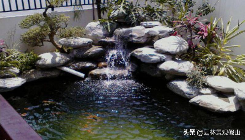 锦鲤鱼池庭院假山流水,庭院鱼池养锦鲤的正确方法