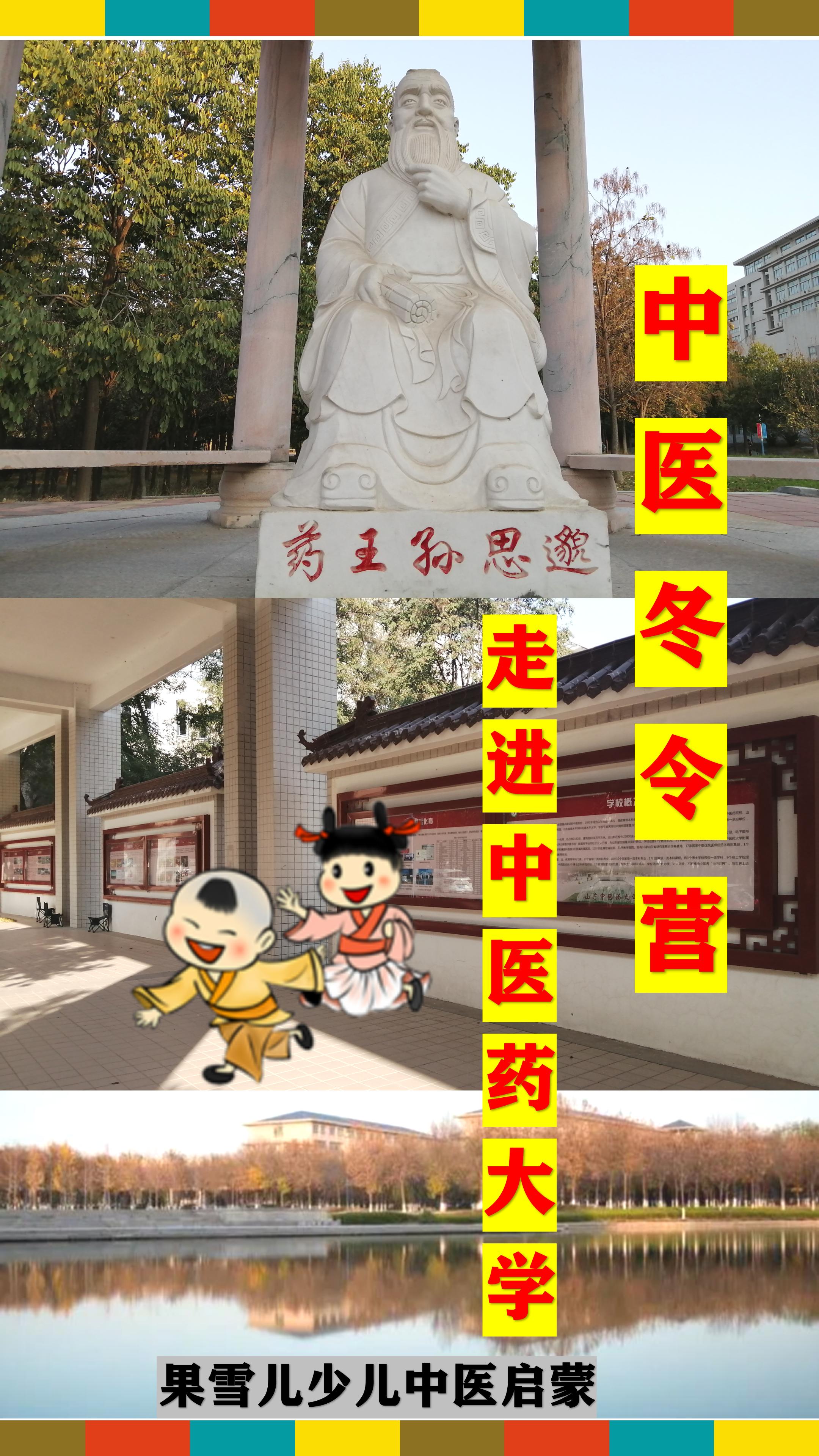 什么是健康什么是养生,什么是健康的道理