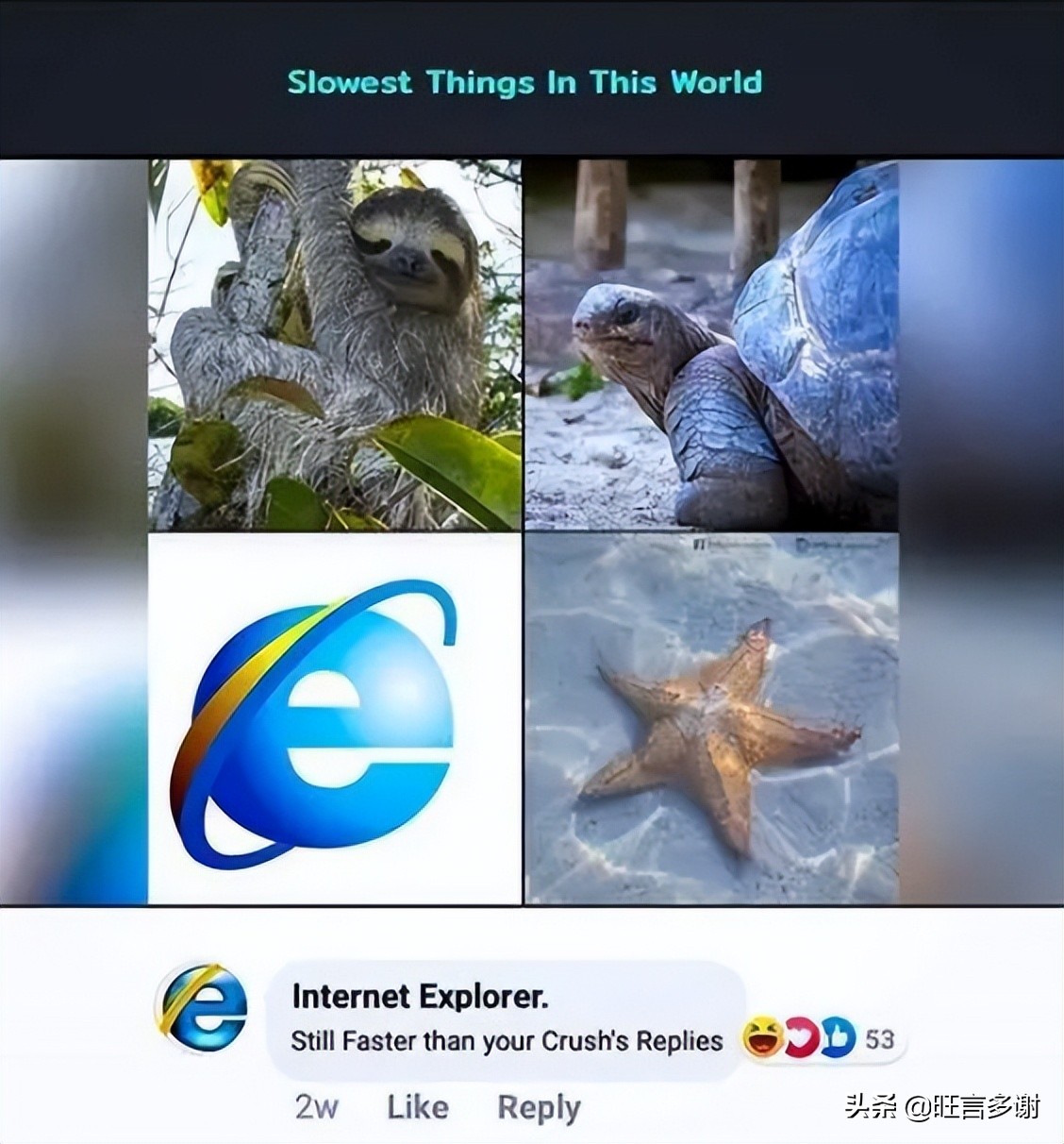 ie退休,IE浏览器退役