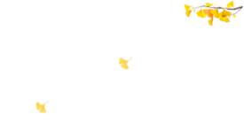 0072：应聘的是质检岗位，进厂来干的却是，搬货卖苦力杂工的活