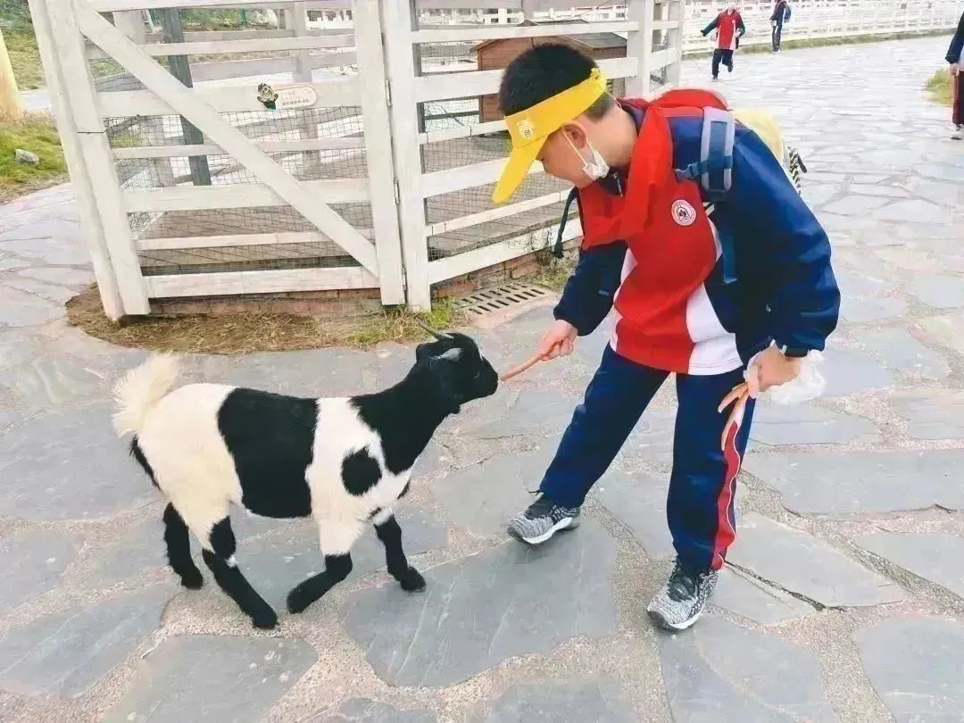 种子乐园游玩攻略,种子乐园2-6岁儿童科普