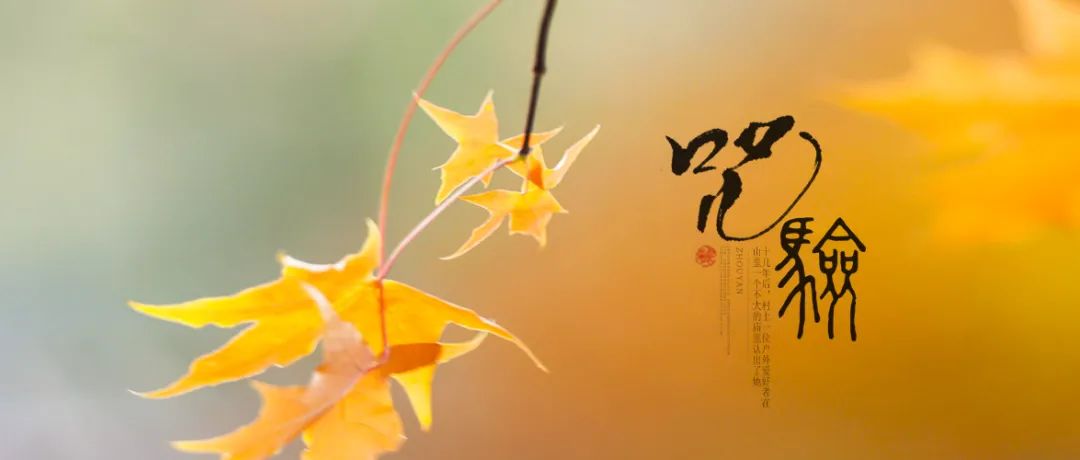 王进才,王进才完整版解说