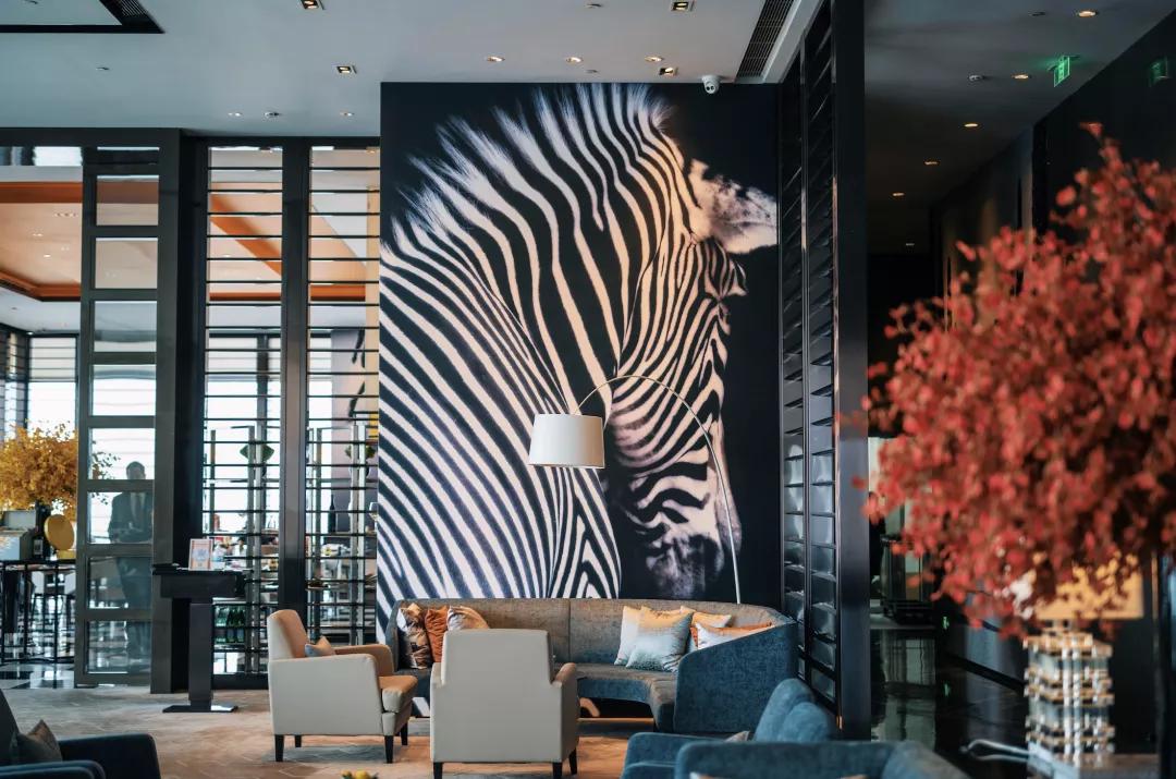 重庆魔幻3d在哪个地方,重庆3d魔幻楼房在哪