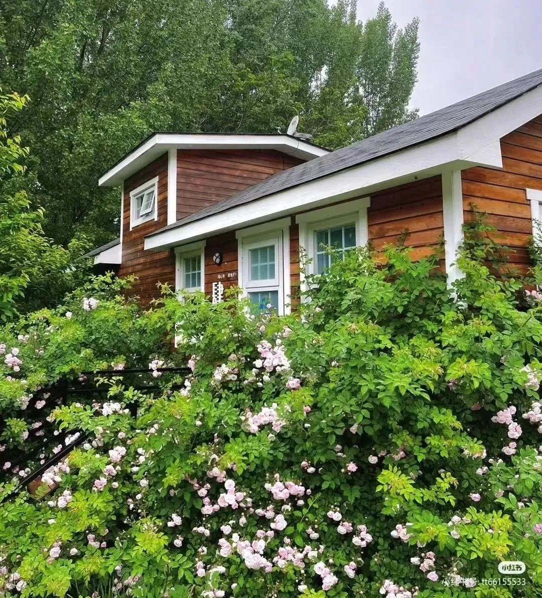 淄博适合冬天去的民宿,淄博旅游民宿攻略推荐最新