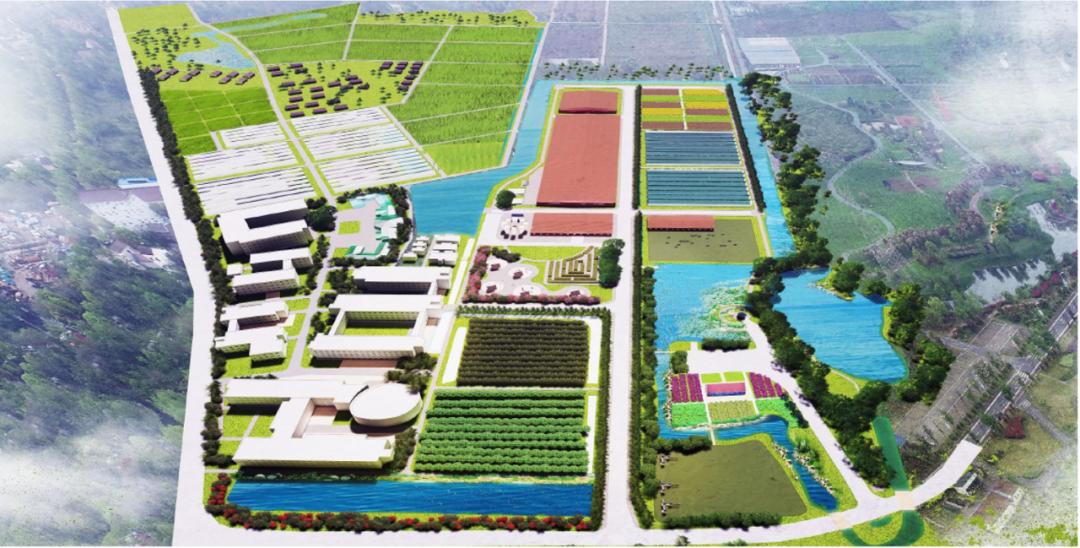 南京卫岗乳业新建项目,南京卫岗有哪些荣誉