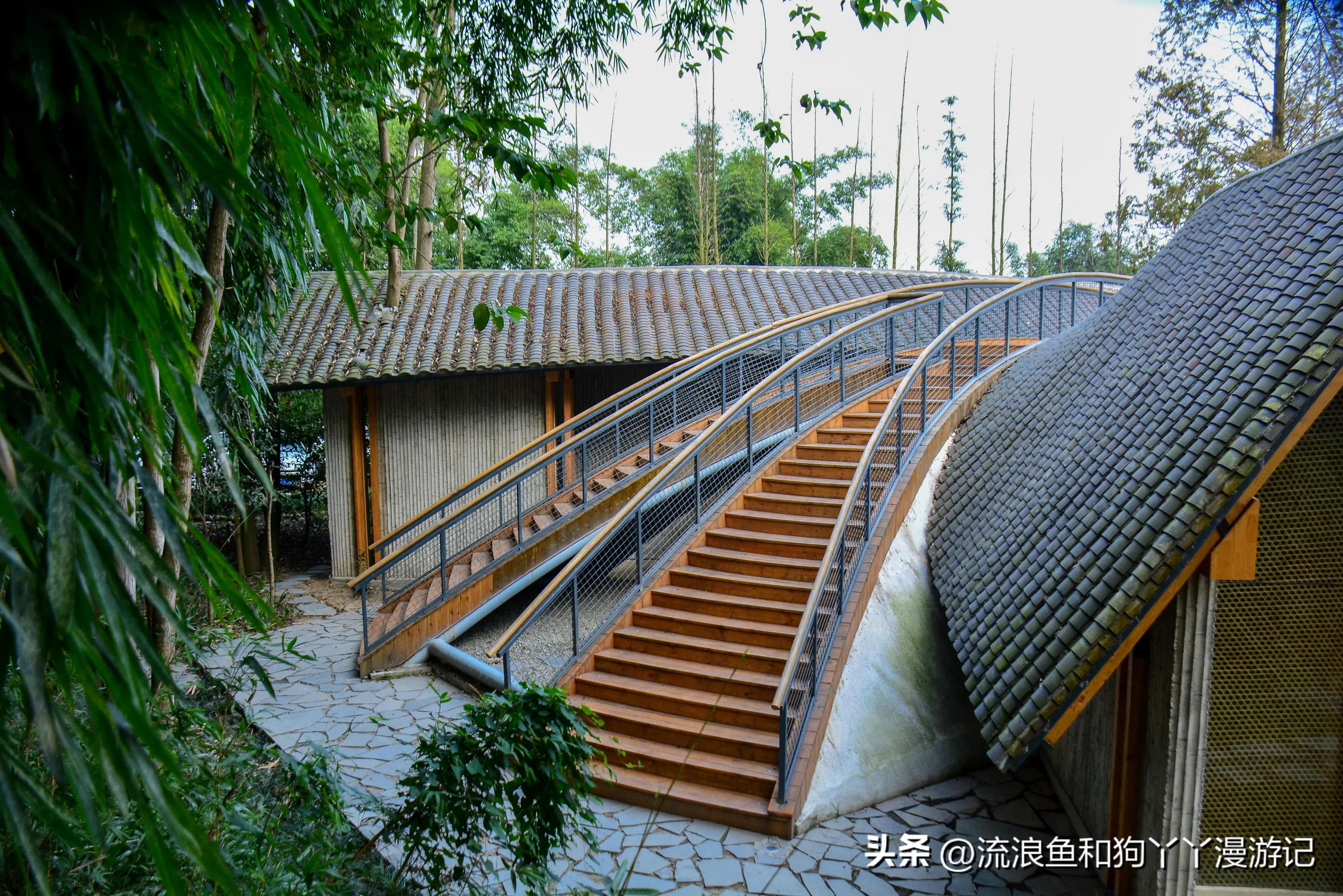 四月份成都近郊一日游好去处,2022成都近郊看雪一日游最佳去处