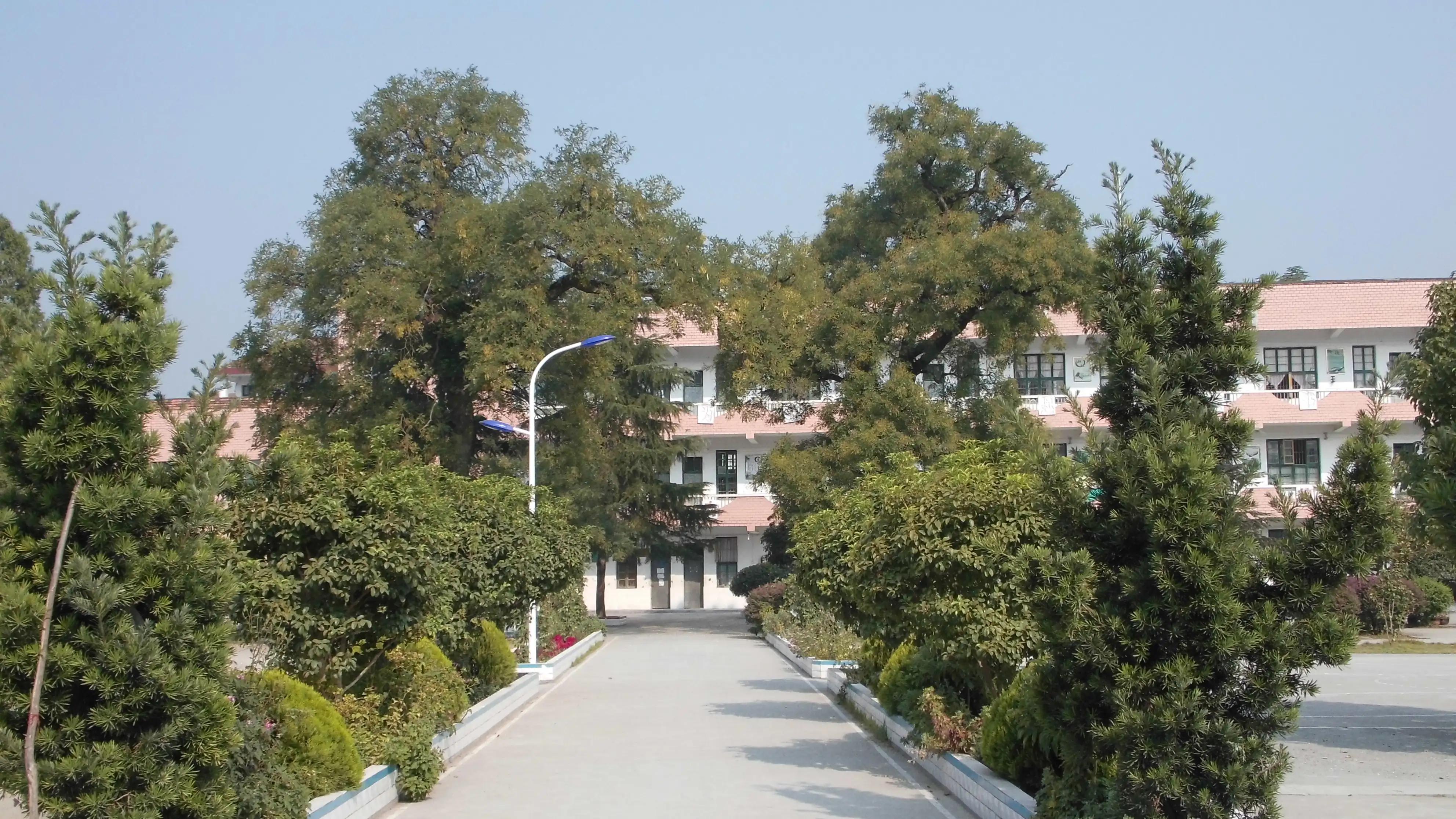 古城新貌的视频,古城新貌彰显活力