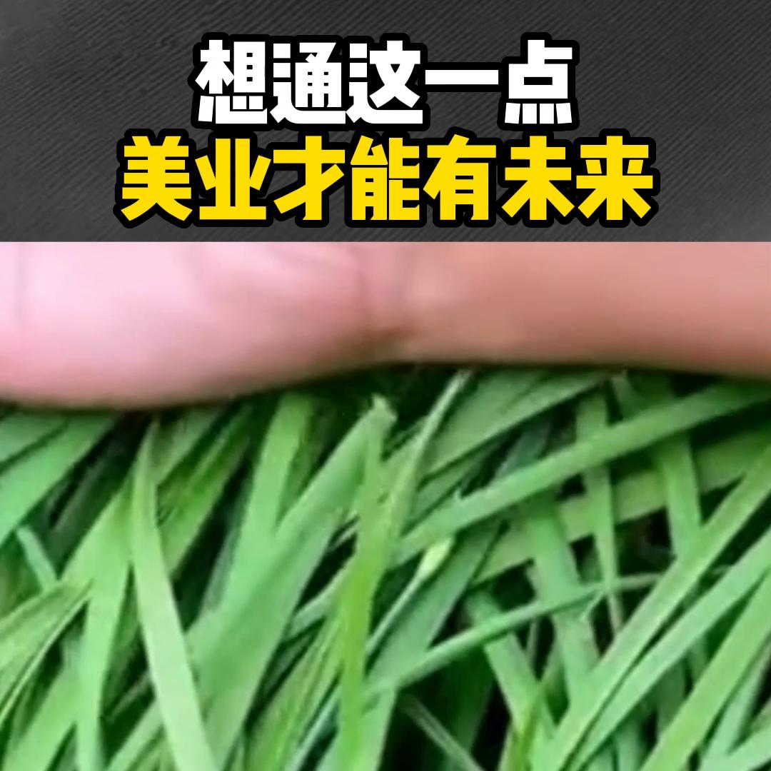 美业为什么适合女性创业,女性小本创业美业项目推荐2020