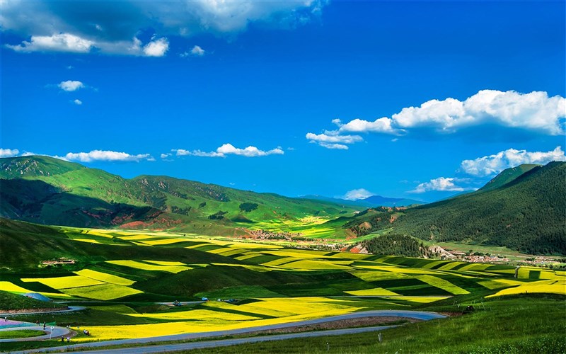 祁连大草原青海湖四日游,大美青海六日游