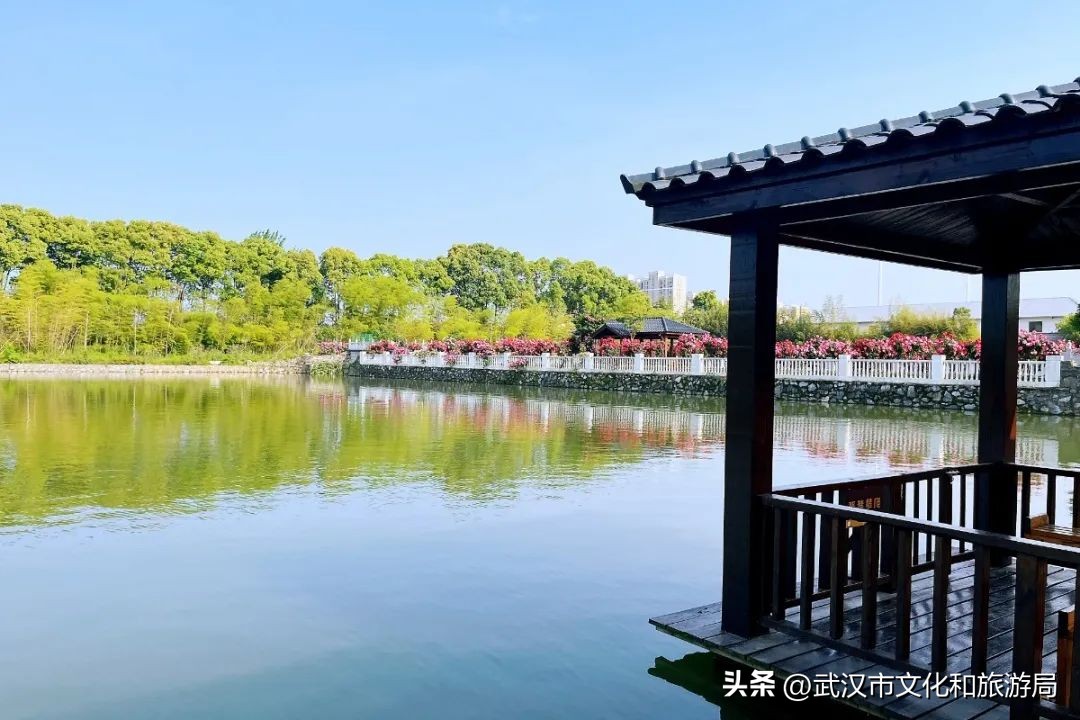 棣欒崏浼婄敻鍥毊鍒掕墖,甯濆厓棣欒崏浼婄敻鍥毊鍒掕墖