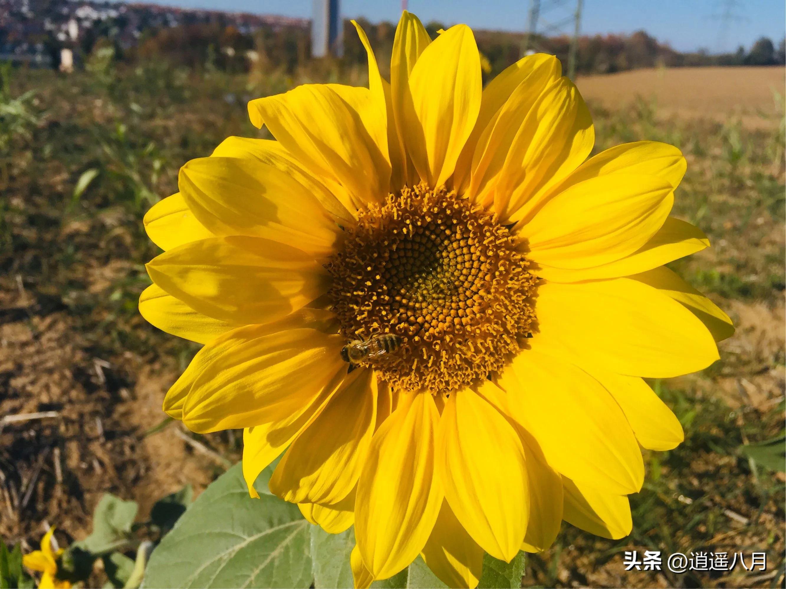 记录在德国的日子,德国周末狂欢