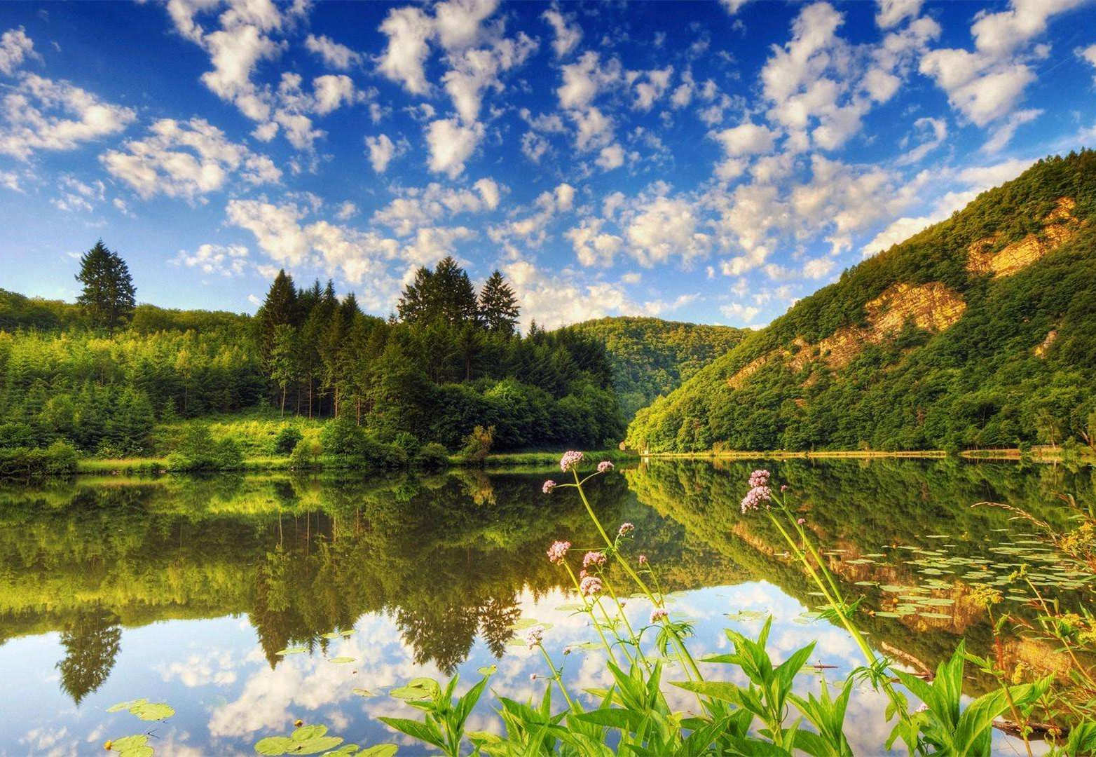 你相信吗？小争执竟然会引发战争，究竟如何化解争端走上幸福？