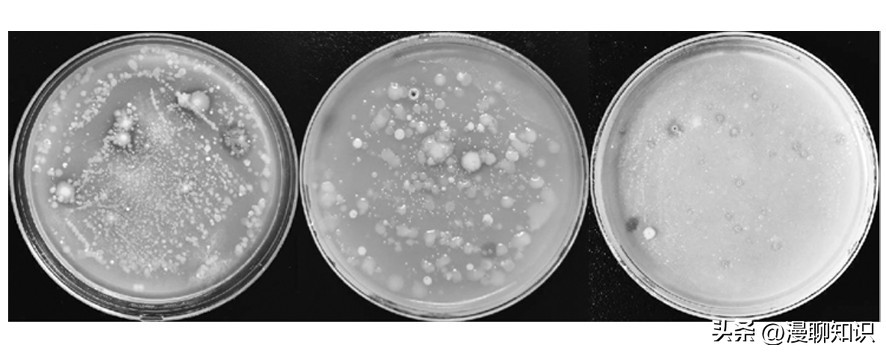 几丁质在水产的作用与功效,几丁质酶的本质