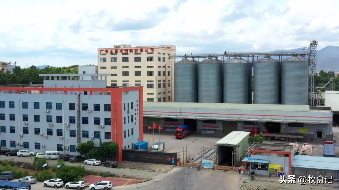 金新农预计出栏80万,金新农经营的范围很多吗