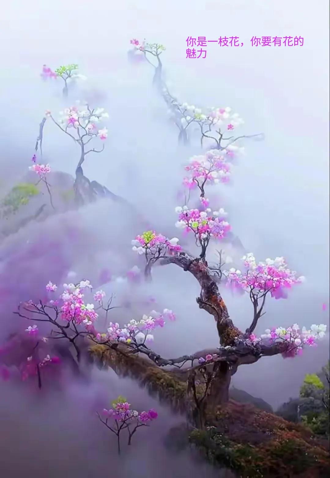 为什么都喜欢跟有钱人玩,有钱人是不是都喜欢玩