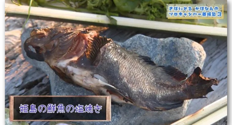 买下日本小岛的女子现在怎么样了,中国女孩买下日本一小岛