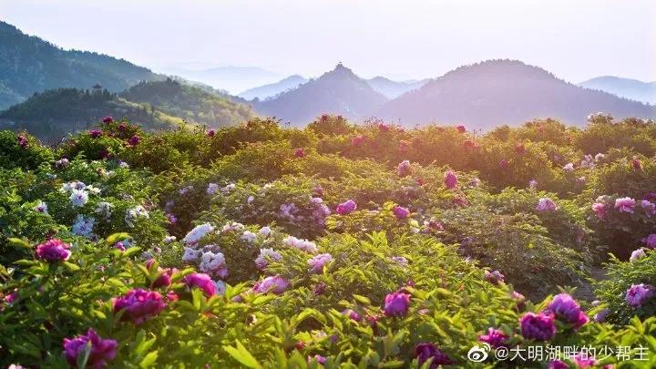 俺莱芜有美景|四季予你诗画香山