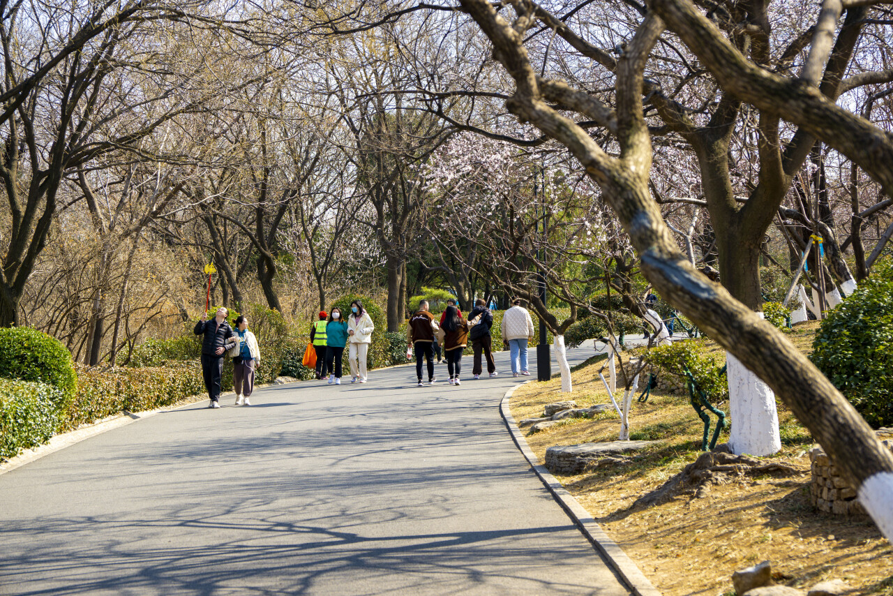 踏青济南攻略,济南黄河边春游攻略
