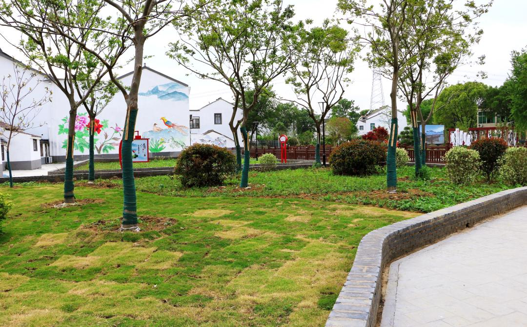 江苏省特色田园乡村名单公布,省级特色田园乡村标准