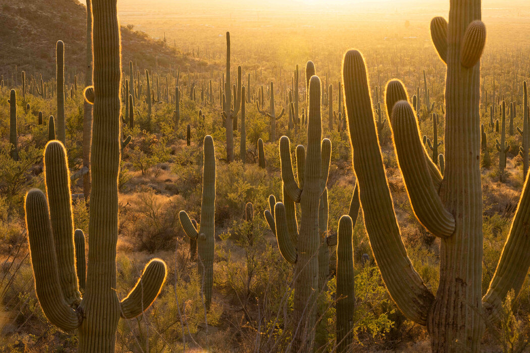 疫情后哪个国家旅游最好,疫情后海外旅游推荐